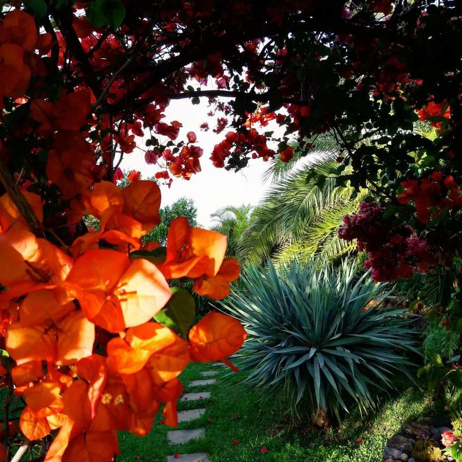 Casas Serenas Holiday home Estreito Da Calheta