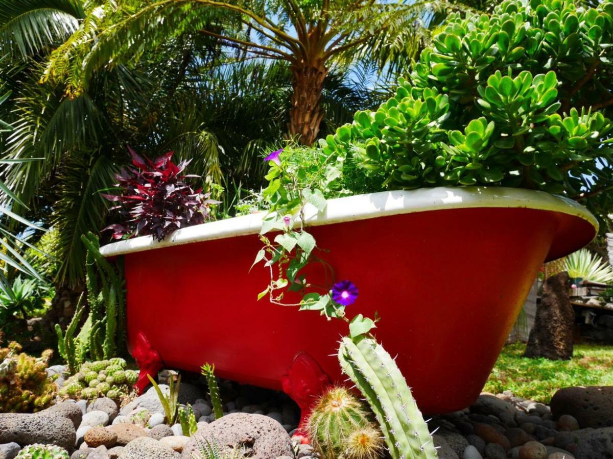Casas Serenas * Estreito Da Calheta