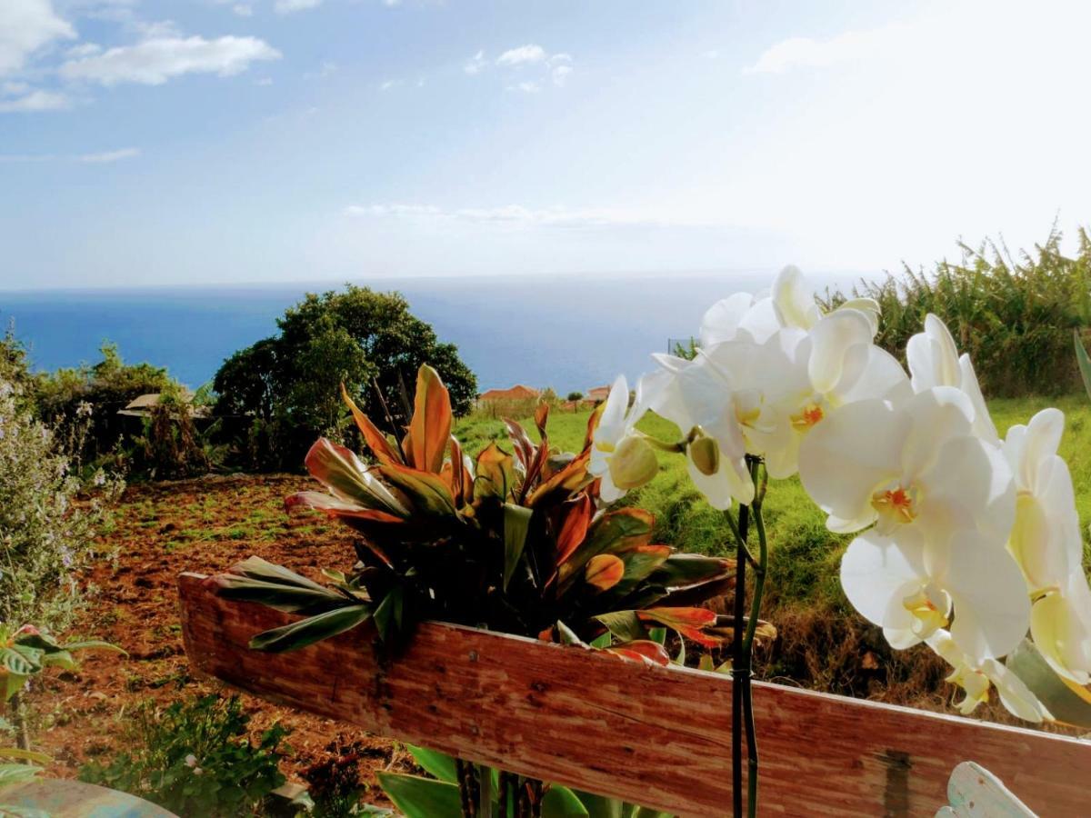 Сasa de vacaciones Casas Serenas Estreito Da Calheta
